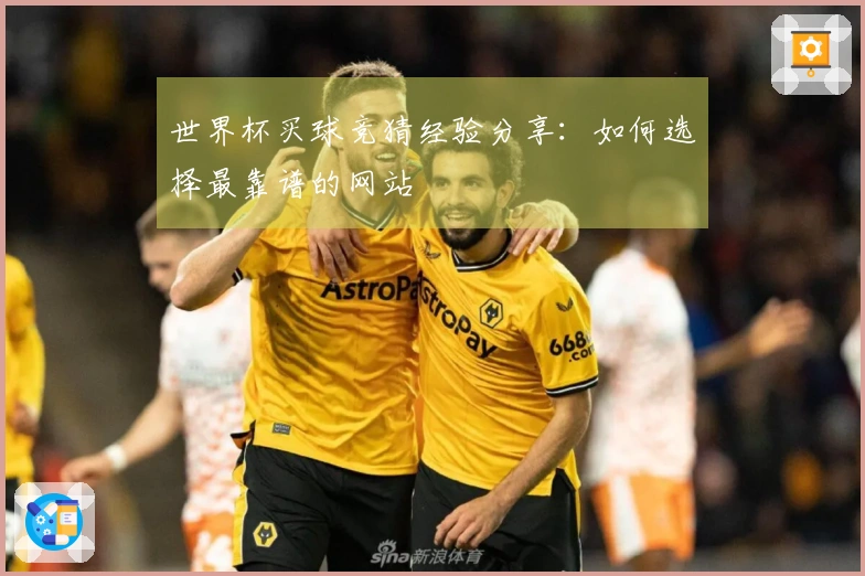 世界杯买球竞猜经验分享：如何选择最靠谱的网站