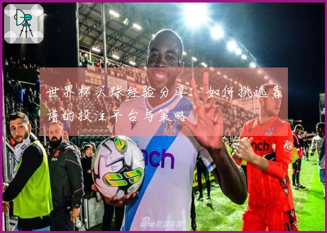 世界杯买球经验分享：如何挑选靠谱的投注平台与策略
