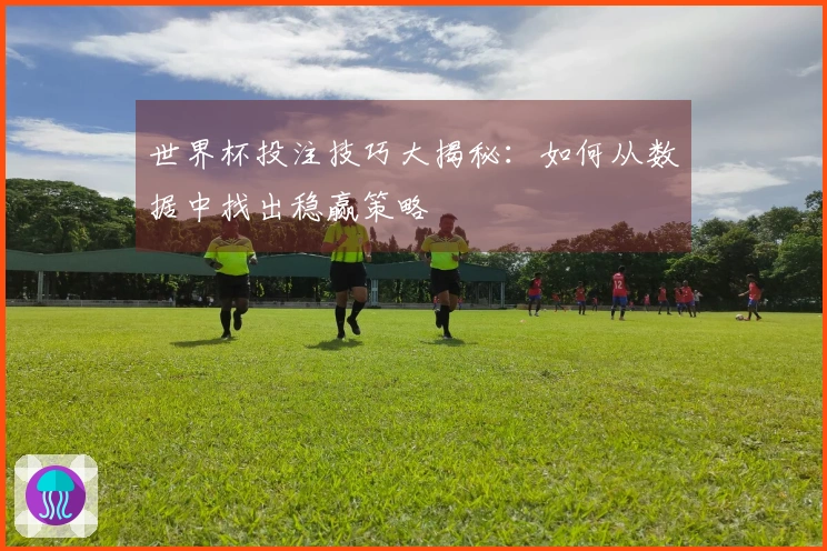 世界杯投注技巧大揭秘：如何从数据中找出稳赢策略