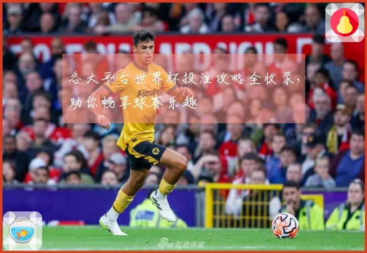 各大平台世界杯投注攻略全收录，助你畅享球赛乐趣