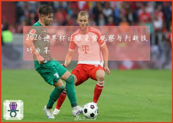 2026世界杯让球走势观察与判断技巧分享