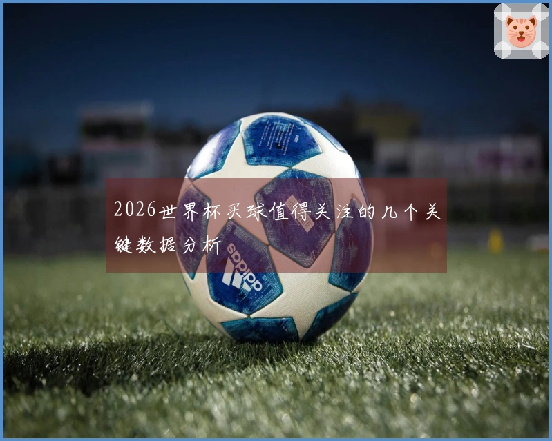 2026世界杯买球值得关注的几个关键数据分析